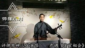 爆料评弹小刘的视频,爆料视频背后的精彩故事  第2张